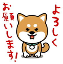 Messenger dog ! Mameshiba sticker #11441002