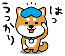 Messenger dog ! Mameshiba sticker #11441006