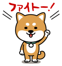 Messenger dog ! Mameshiba sticker #11441011