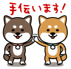 Messenger dog ! Mameshiba sticker #11441013