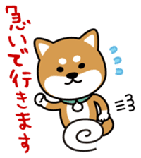 Messenger dog ! Mameshiba sticker #11441019