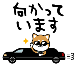 Messenger dog ! Mameshiba sticker #11441027
