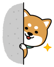 Messenger dog ! Mameshiba sticker #11441028