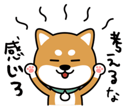 Messenger dog ! Mameshiba sticker #11441029