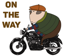 Stii sticker #11443072