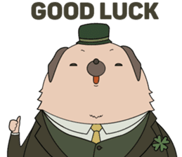 Stii sticker #11443081