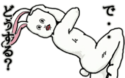 Very funny rabbit sticker #11447492