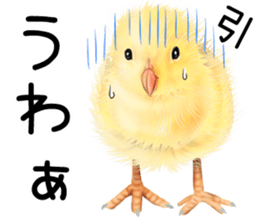 mohu mohu hiyoko sticker #11448554