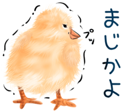 mohu mohu hiyoko sticker #11448562