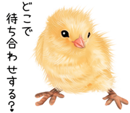 mohu mohu hiyoko sticker #11448565