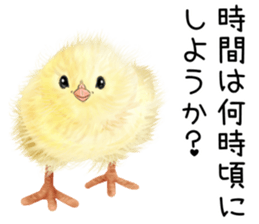 mohu mohu hiyoko sticker #11448566