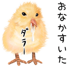 mohu mohu hiyoko sticker #11448567