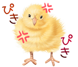 mohu mohu hiyoko sticker #11448572