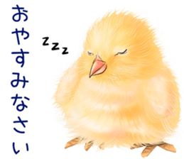 mohu mohu hiyoko sticker #11448577