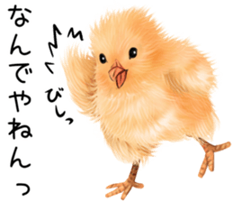 mohu mohu hiyoko sticker #11448578