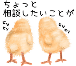 mohu mohu hiyoko sticker #11448581