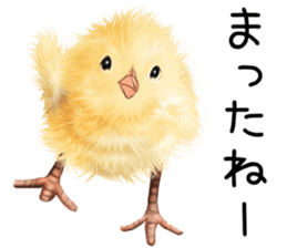 mohu mohu hiyoko sticker #11448582