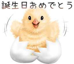 mohu mohu hiyoko sticker #11448587