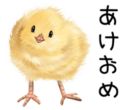 mohu mohu hiyoko sticker #11448588