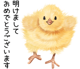 mohu mohu hiyoko sticker #11448589