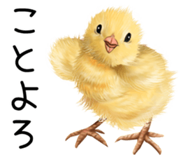 mohu mohu hiyoko sticker #11448590