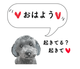 silver toy poodle sticker!!love sticker #11449638