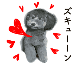 silver toy poodle sticker!!love sticker #11449644