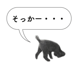 silver toy poodle sticker!!love sticker #11449645