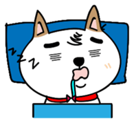 Shiba pi pi with chu chu sticker #11451738