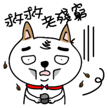 Shiba pi pi with chu chu sticker #11451739