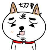 Shiba pi pi with chu chu sticker #11451740