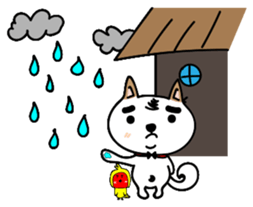 Shiba pi pi with chu chu sticker #11451747