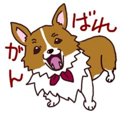 CORGI:For-chan sticker #11453594