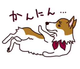 CORGI:For-chan sticker #11453596