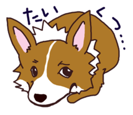 CORGI:For-chan sticker #11453600