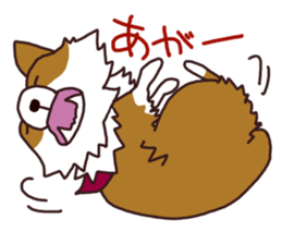 CORGI:For-chan sticker #11453601