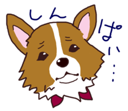 CORGI:For-chan sticker #11453603