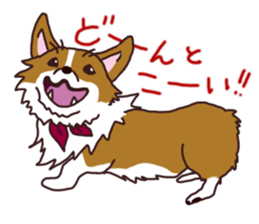 CORGI:For-chan sticker #11453605