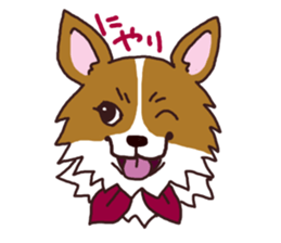 CORGI:For-chan sticker #11453606