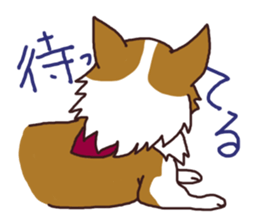 CORGI:For-chan sticker #11453610