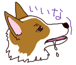 CORGI:For-chan sticker #11453616