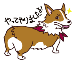 CORGI:For-chan sticker #11453621