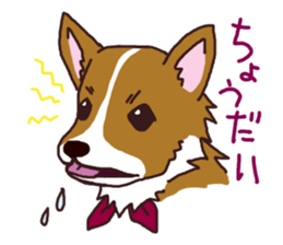 CORGI:For-chan sticker #11453622