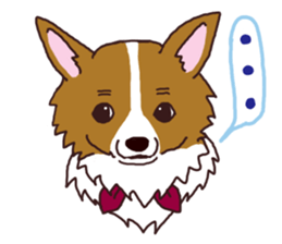 CORGI:For-chan sticker #11453625