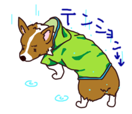 CORGI:For-chan sticker #11453629