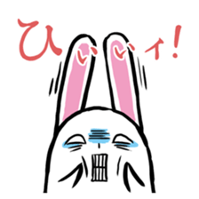 walleyed rabbit sticker #11454605