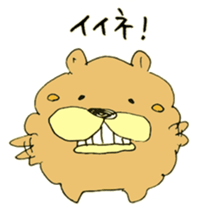 Chata of chowchow dog 3 sticker #11454812