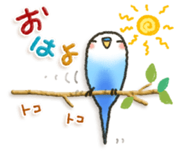 Budgerigar6 sticker #11457288