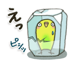 Budgerigar6 sticker #11457316