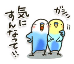 Budgerigar6 sticker #11457319